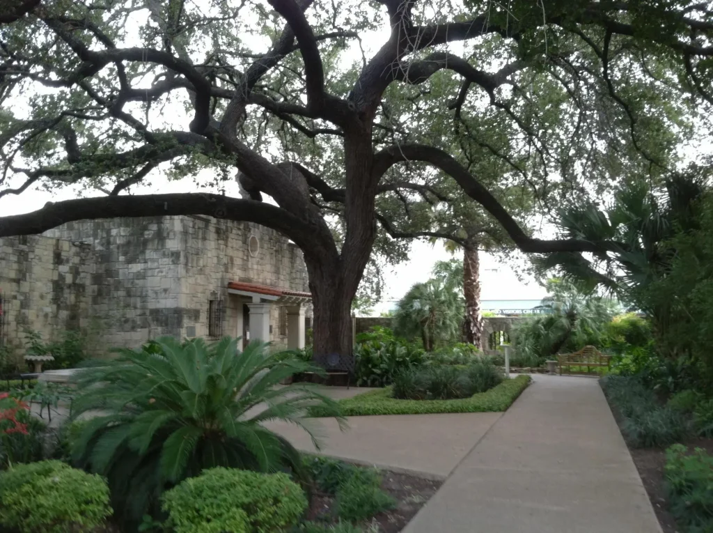 internal video of Alamo San Antonio, Texas, United States