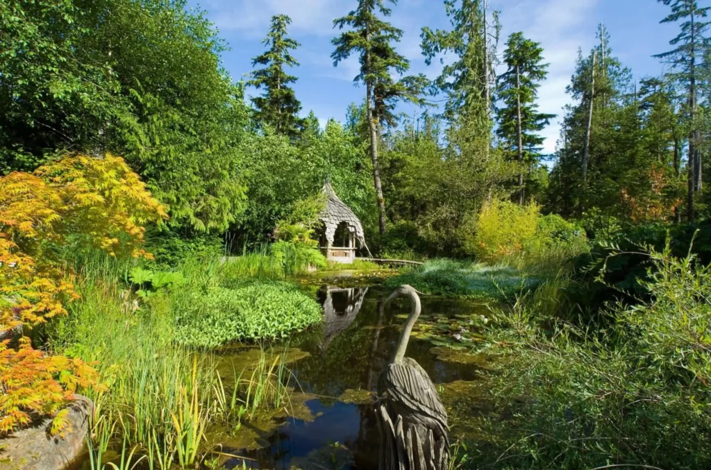 Tofino Botanical Gardens lily pond with wood sculpture, Vancouver Island, British Columbia, Canada.
