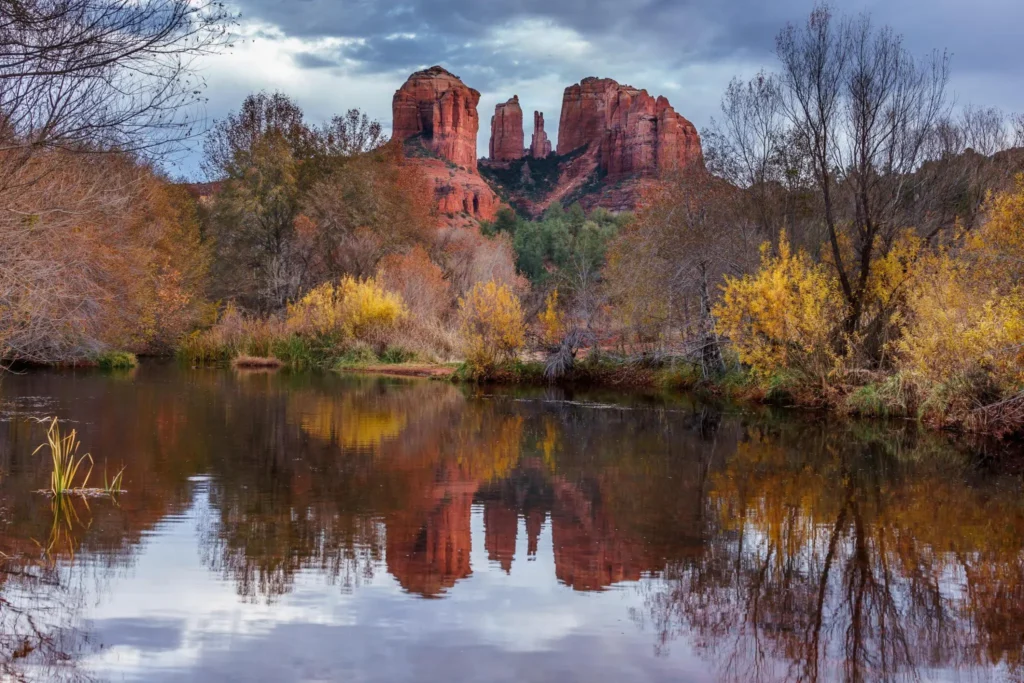 fall season in Phoenix, Arizona USA