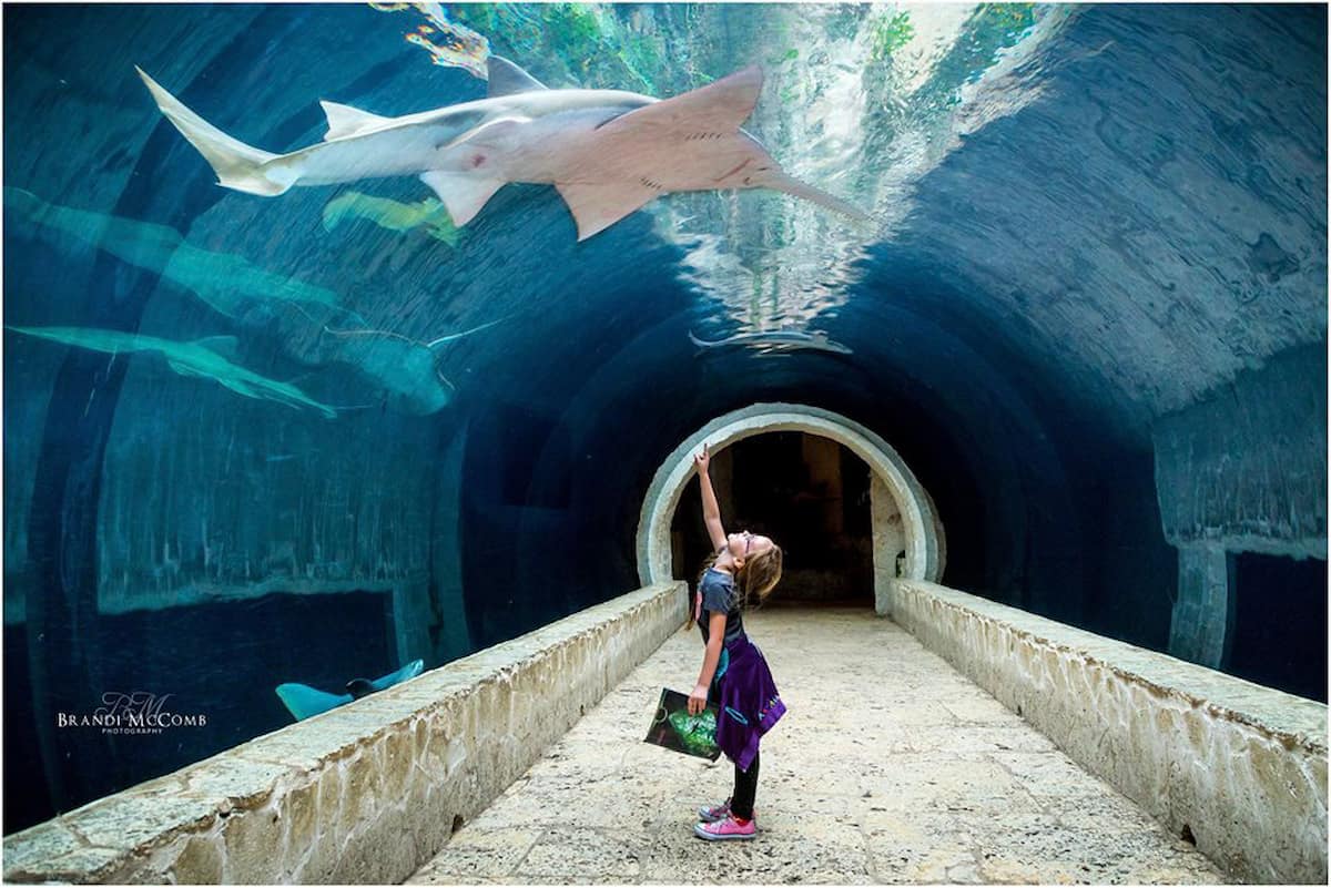 Dallas-World-Aquarium