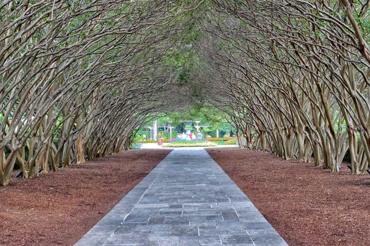 The-Dallas-Arboretum