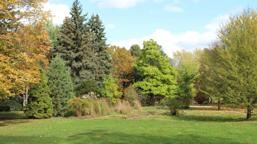 Sunnidale Park City of Barrie