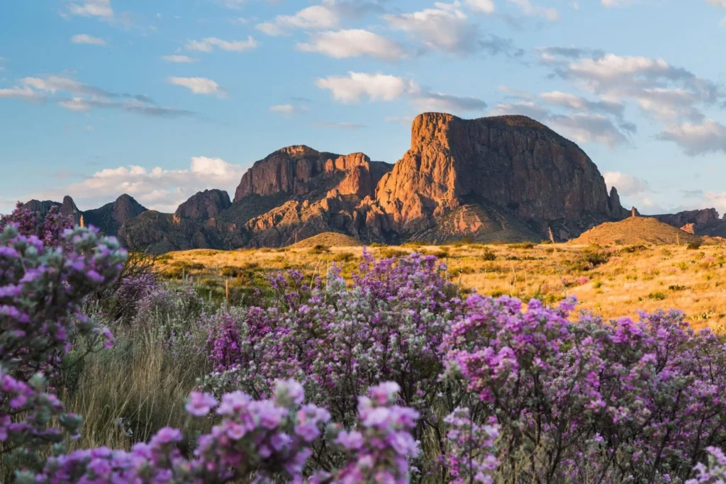 Big Bend texas state park usa