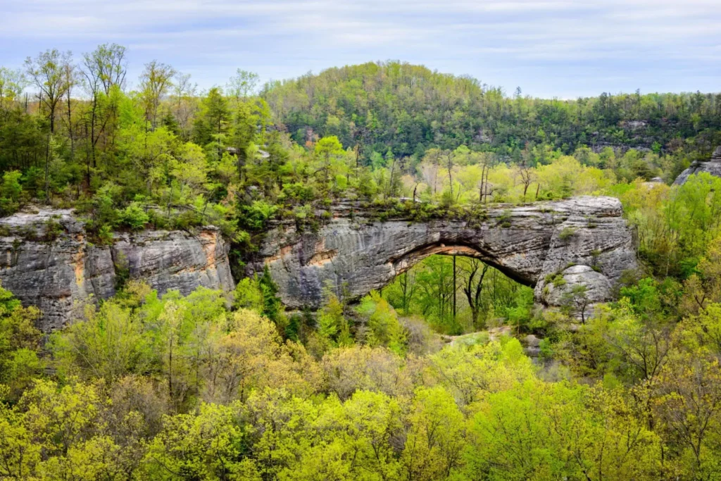 Big South Fork National River 