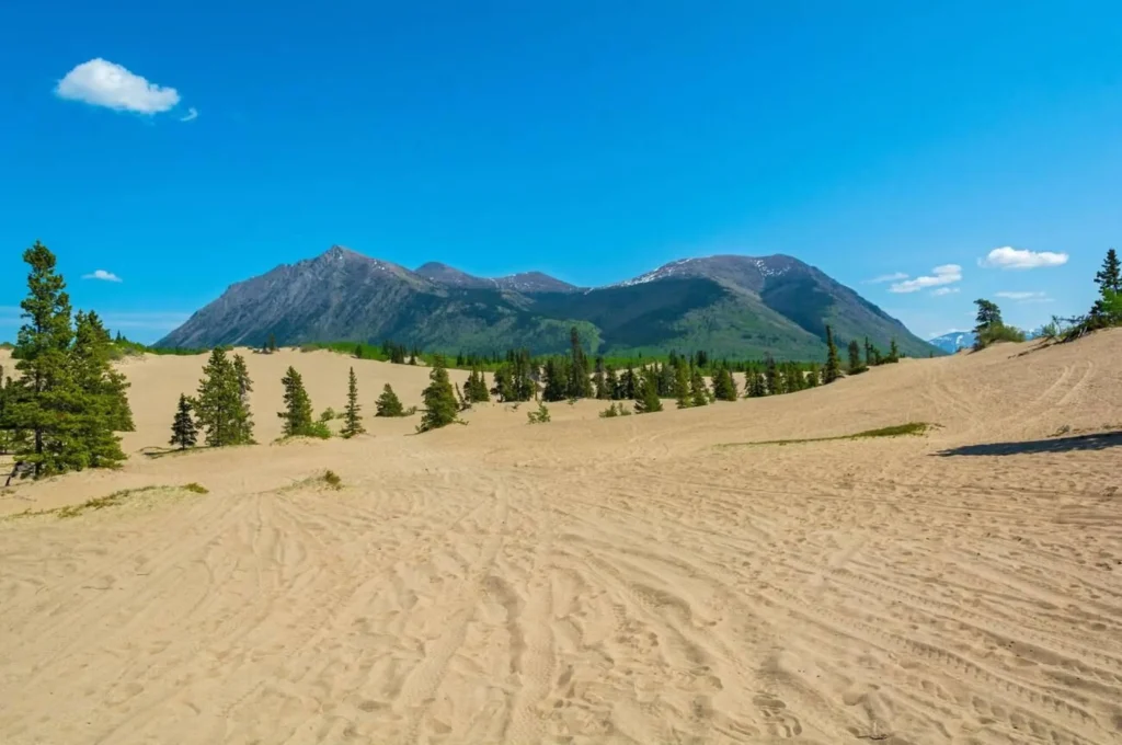 Canada, Yukon, Carcross Desert, dunes