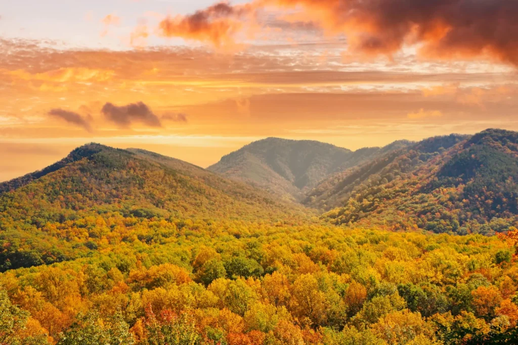 Great Smoky Mountains National Park