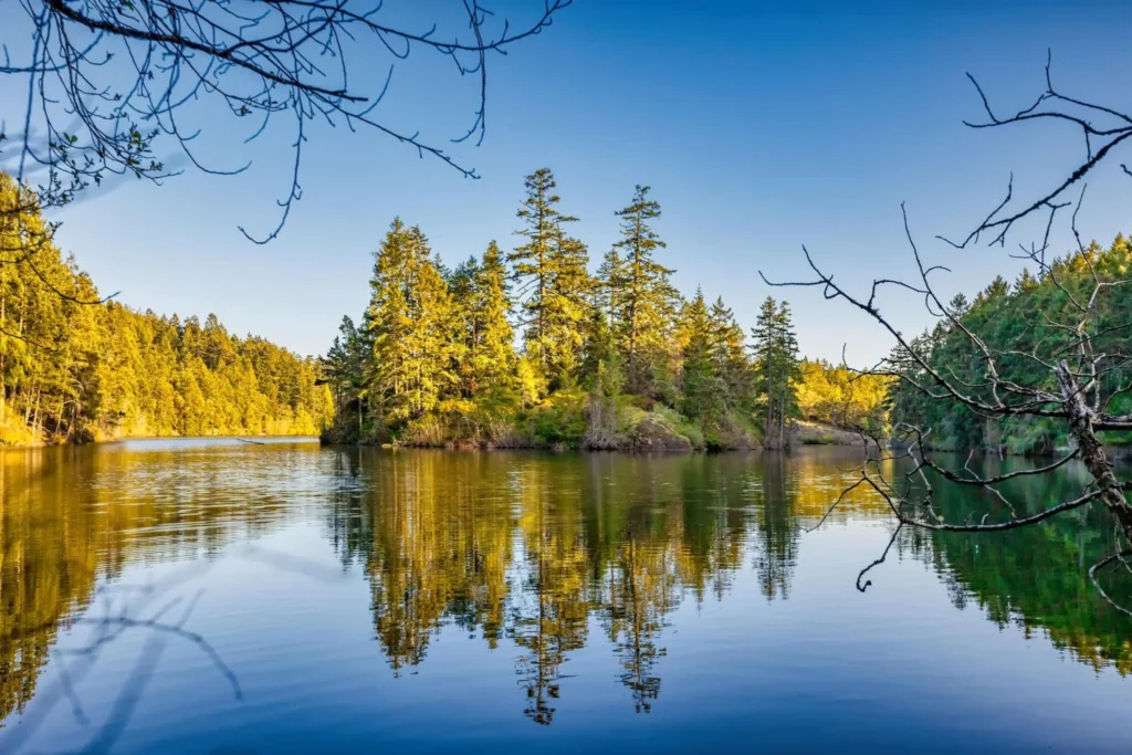 Thetis Lake Victoria British Columbia Canada