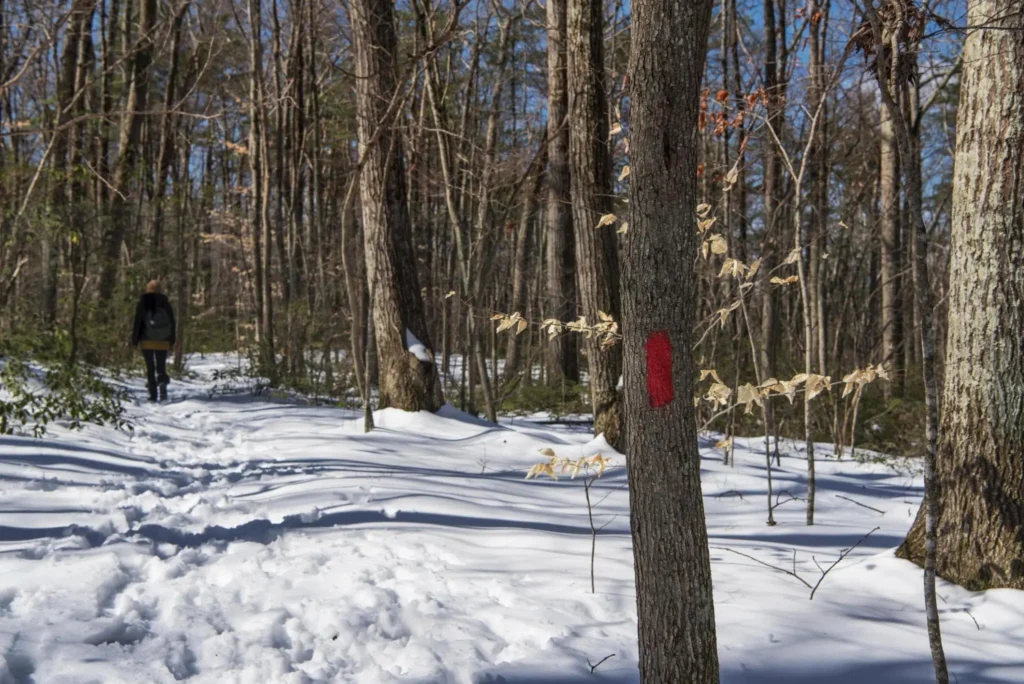 Outdoor Adventures in Connecticut