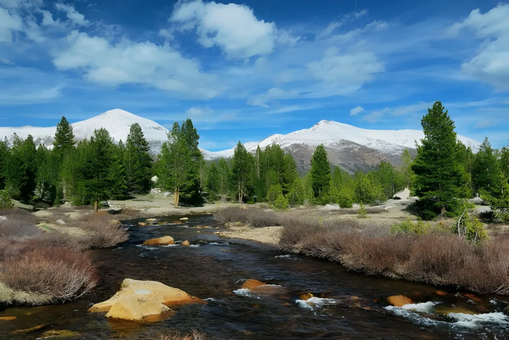 Yosemite National Park