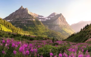 The Majesty of the Rocky Mountain Region