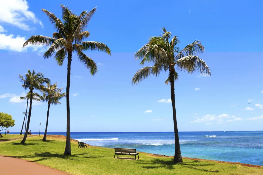 Sun-Kissed Beaches of Hawaii, unites states