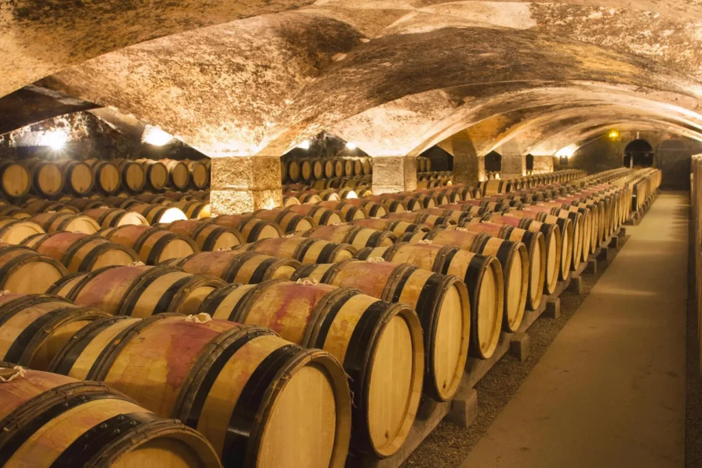 Wine cellar 