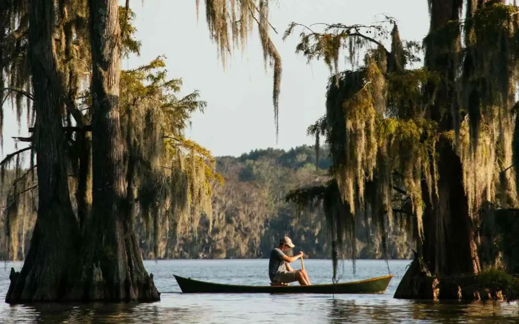 Cajun Country Louisiana, United states