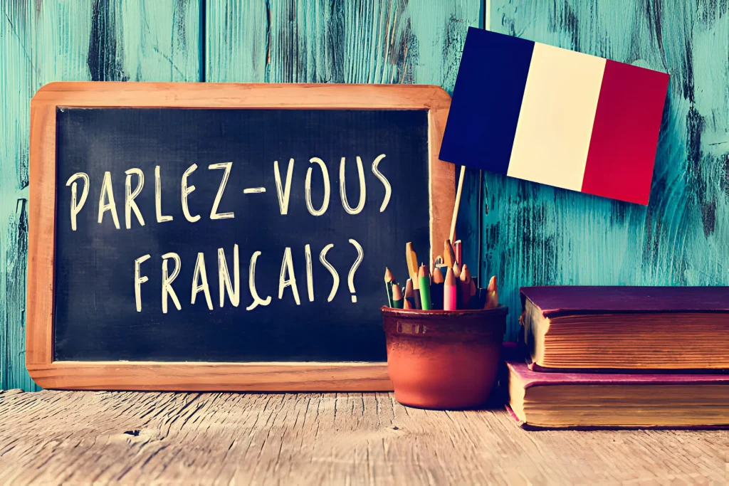 Language and Education of France