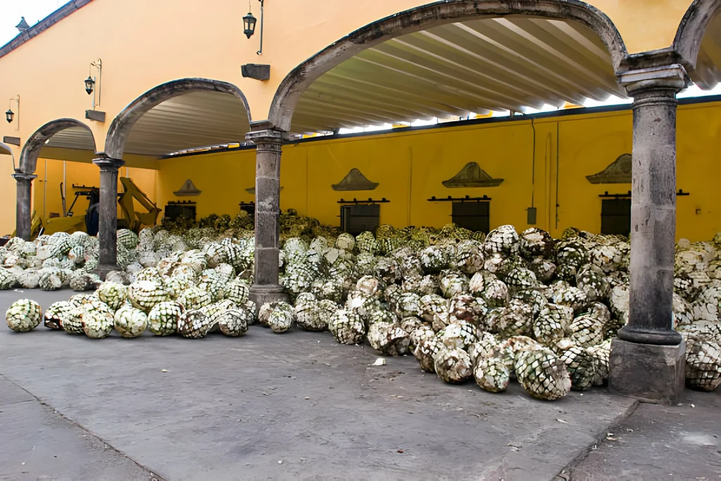 Tequila Distillery stock, Mexico